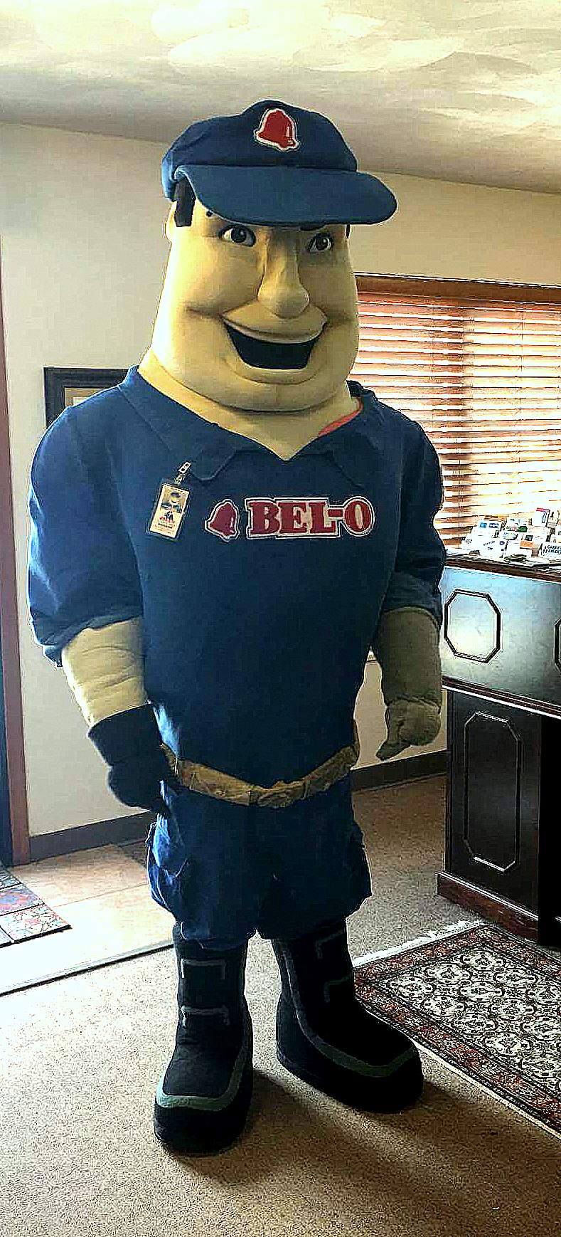 How To Clean A Mascot Costume Carpet Care Plus