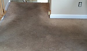 Should I Take My Shoes Off To Save My Carpet?