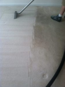 rug cleaning